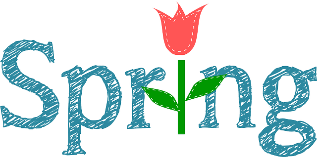 march, flower, spring, tulip, blossom, flower wallpaper, beautiful flowers, flora, plant, petal, floral, march, march, march, march, nature, march, flower background, spring, spring, spring, spring